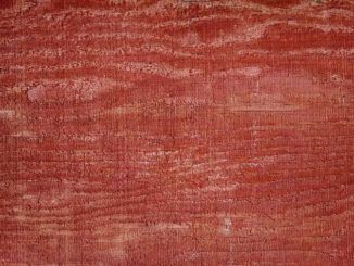 madera de bloodwood
