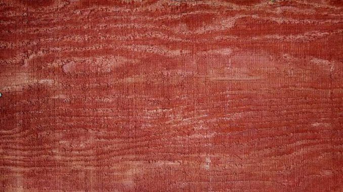 madera de bloodwood