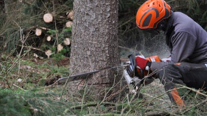 motosierra eléctrica