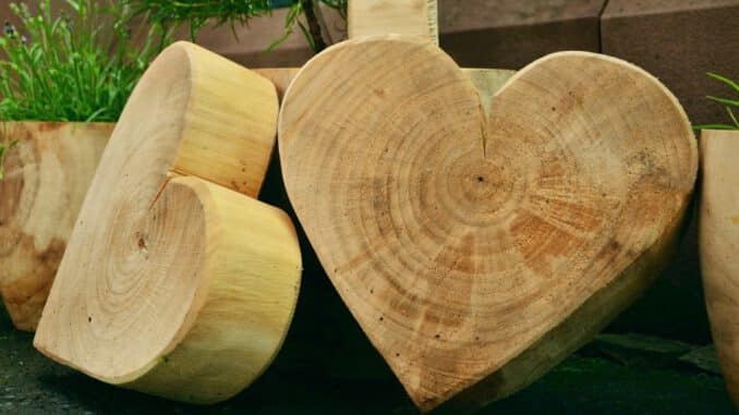 Cómo tallar madera