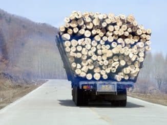 movimiento de cargas